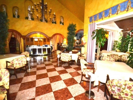 Commercial&nbsp;for&nbsp;sale&nbsp;in&nbsp;town,&nbsp;Spain&nbsp;162505