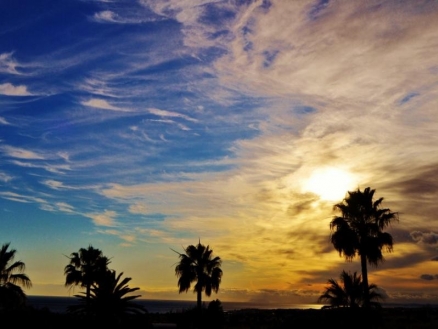 town&nbsp;Villa&nbsp;162950