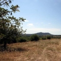 Selva&nbsp;property:&nbsp;Land&nbsp;for&nbsp;sale&nbsp;in&nbsp;Selva&nbsp;163352
