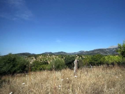 Selva&nbsp;property:&nbsp;Land&nbsp;for&nbsp;sale&nbsp;in&nbsp;Selva,&nbsp;Spain&nbsp;163352