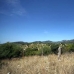 Selva&nbsp;property:&nbsp;Selva,&nbsp;Spain&nbsp;Land&nbsp;163352
