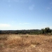 Selva&nbsp;property:&nbsp;bedroom&nbsp;Land&nbsp;in&nbsp;Selva,&nbsp;Spain&nbsp;163352