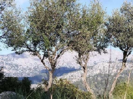 Mancor&nbsp;de&nbsp;la&nbsp;Vall&nbsp;property:&nbsp;Land&nbsp;with&nbsp;bedroom&nbsp;in&nbsp;Mancor&nbsp;de&nbsp;la&nbsp;Vall,&nbsp;Spain&nbsp;163362