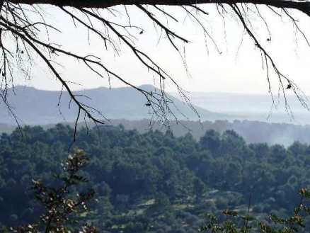 Mancor&nbsp;de&nbsp;la&nbsp;Vall&nbsp;property:&nbsp;Land&nbsp;for&nbsp;sale&nbsp;in&nbsp;Mancor&nbsp;de&nbsp;la&nbsp;Vall,&nbsp;Mallorca&nbsp;163362