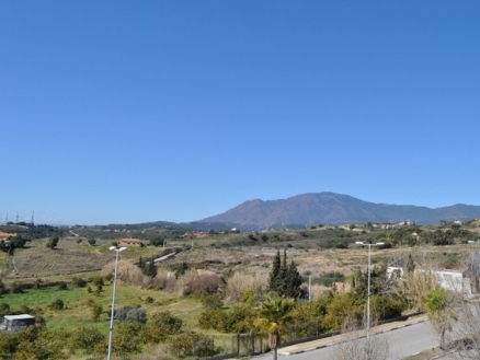 town&nbsp;Apartment&nbsp;163433