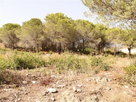 Cadiz&nbsp;property&nbsp;|&nbsp;bedroom&nbsp;Land&nbsp;163454