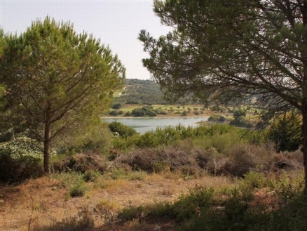 town,&nbsp;Spain&nbsp;|&nbsp;Land&nbsp;for&nbsp;sale&nbsp;163454