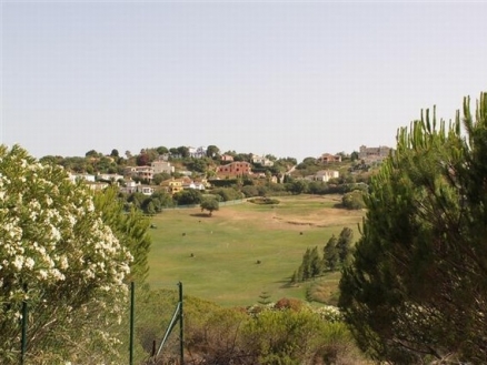 Cadiz&nbsp;Land&nbsp;163454