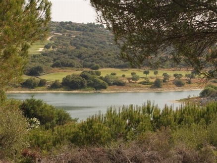 town&nbsp;Land&nbsp;163454