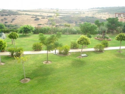 town&nbsp;Apartment&nbsp;163549