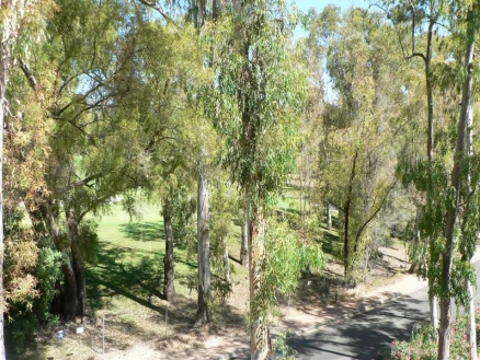 Guadalmina&nbsp;Alta&nbsp;property:&nbsp;Studio&nbsp;with&nbsp;2&nbsp;bedroom&nbsp;in&nbsp;Guadalmina&nbsp;Alta,&nbsp;Spain&nbsp;163555