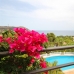 5&nbsp;bedroom&nbsp;Villa&nbsp;in&nbsp;Mallorca&nbsp;163719