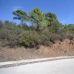 Benahavis&nbsp;property:&nbsp;bedroom&nbsp;Land&nbsp;in&nbsp;Benahavis,&nbsp;Spain&nbsp;163728