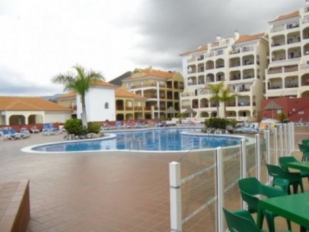 Studio&nbsp;for&nbsp;sale&nbsp;in&nbsp;town&nbsp;163743