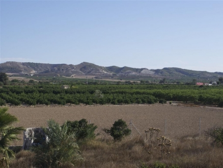 Almoradi&nbsp;property:&nbsp;Almoradi&nbsp;Villa&nbsp;164104