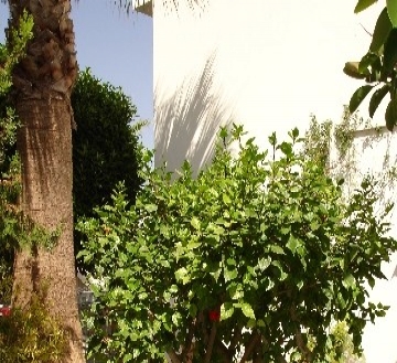 Townhome&nbsp;with&nbsp;3&nbsp;bedroom&nbsp;in&nbsp;town,&nbsp;Spain&nbsp;164112