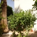 3&nbsp;bedroom&nbsp;Townhome&nbsp;in&nbsp;Mallorca&nbsp;164112