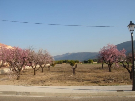 Parcent&nbsp;property:&nbsp;Land&nbsp;for&nbsp;sale&nbsp;in&nbsp;Parcent,&nbsp;Spain&nbsp;164594