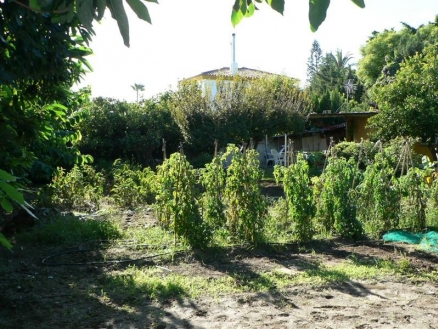 Guadalmina&nbsp;Alta&nbsp;property:&nbsp;Guadalmina&nbsp;Alta,&nbsp;Spain&nbsp;|&nbsp;Land&nbsp;for&nbsp;sale&nbsp;165628