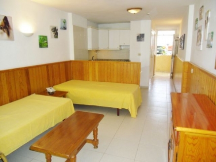 Studio&nbsp;for&nbsp;sale&nbsp;in&nbsp;town,&nbsp;Tenerife&nbsp;165632