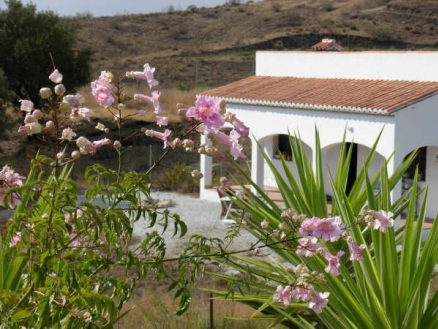 Velez&nbsp;Malaga&nbsp;property:&nbsp;Velez&nbsp;Malaga&nbsp;Villa&nbsp;165937