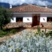 El Gastor property: House in El Gastor 166394
