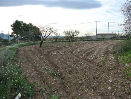 Land for sale in town 167841