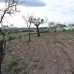  Land in province 167841