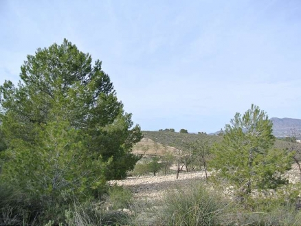 Land for sale in town, Spain 167844