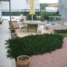 San Miguel De Salinas property: 3 bedroom Villa in Alicante 168211