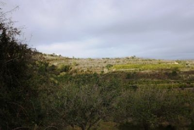 Pedreguer&nbsp;property:&nbsp;Villa&nbsp;for&nbsp;sale&nbsp;in&nbsp;Pedreguer,&nbsp;Spain&nbsp;168216