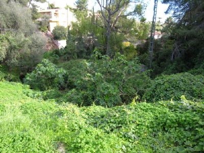 Land for sale in town 168242