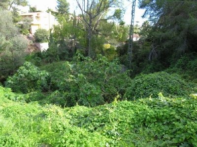 Land for sale in town, Spain 168242