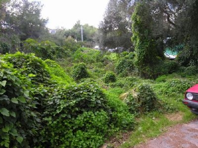 Land with 3 bedroom in town, Spain 168242