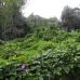 3 bedroom Land in town, Spain 168242