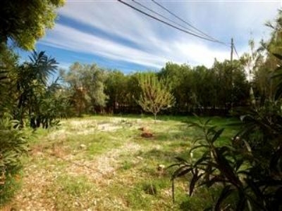 Els Poblets property: Land for sale in Els Poblets 168284