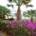 Los Dolses property: 2 bedroom Apartment in Alicante 168301
