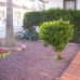 Los Dolses property: 2 bedroom Apartment in Los Dolses, Spain 168355