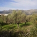 Orba property: Orba, Spain Villa 168375