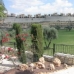 La Finca property: La Finca, Spain Villa 168416