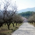 town, Spain Villa 168444