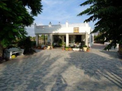 Crevillent property: Villa for sale in Crevillent 168520