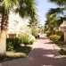 Playa&nbsp;Flamenca&nbsp;property:&nbsp;2&nbsp;bedroom&nbsp;Apartment&nbsp;in&nbsp;Playa&nbsp;Flamenca,&nbsp;Spain&nbsp;168559