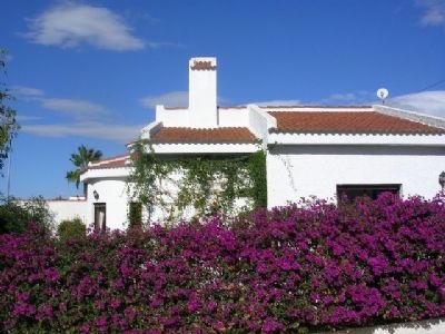 San&nbsp;Miguel&nbsp;De&nbsp;Salinas&nbsp;property:&nbsp;Villa&nbsp;for&nbsp;sale&nbsp;in&nbsp;San&nbsp;Miguel&nbsp;De&nbsp;Salinas&nbsp;168625