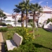 Playa Flamenca property: 2 bedroom Apartment in Alicante 168635
