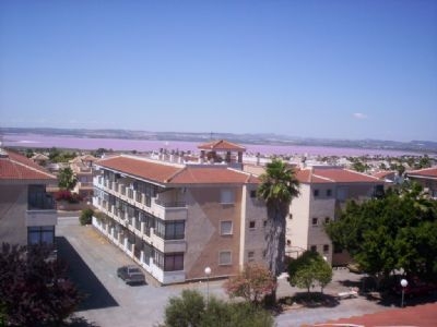 Apartment&nbsp;for&nbsp;sale&nbsp;in&nbsp;town&nbsp;168708