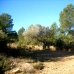 Atzeneta Del Maestrat property: Atzeneta Del Maestrat, Spain Finca 168985