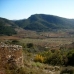 Atzeneta Del Maestrat property: Finca in Castellon 168987