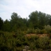 Atzeneta Del Maestrat property: Atzeneta Del Maestrat, Spain Finca 168992