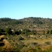 Atzeneta Del Maestrat property: Finca in Castellon 168992